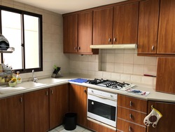 The Mayfair (D22), Condominium #176070212